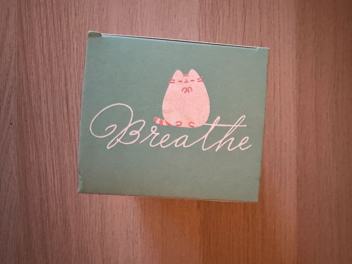 Pusheen vinyl figure - photo numéro 5