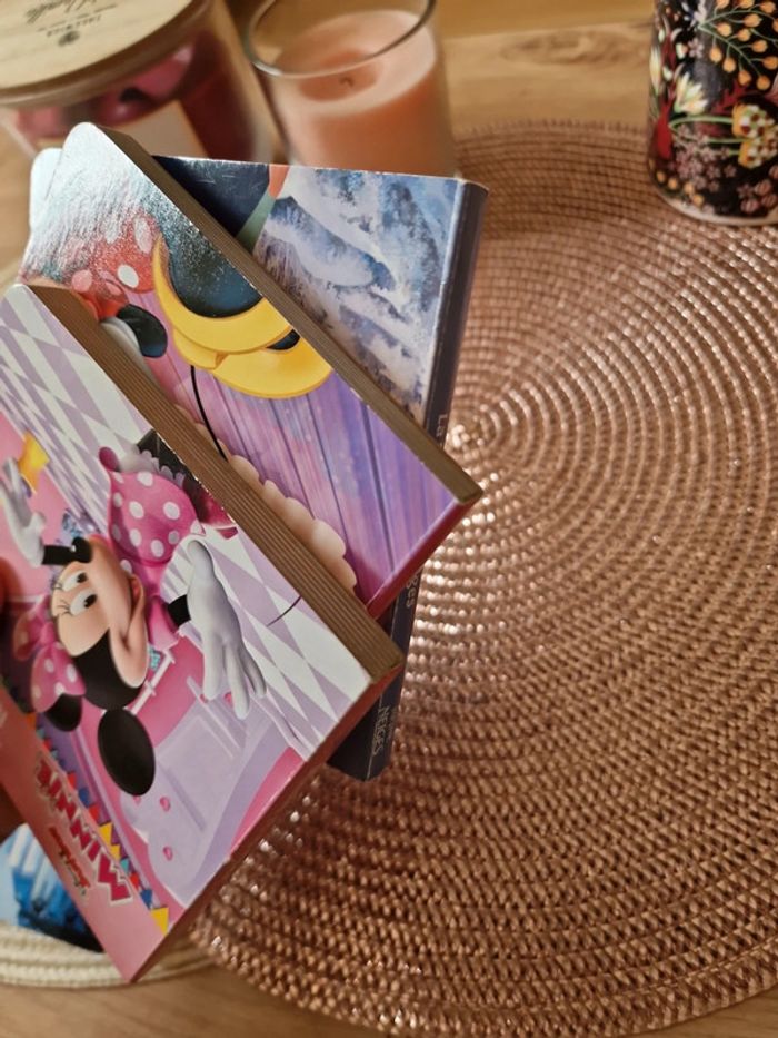 Lots de 4 livres en carton - photo numéro 5