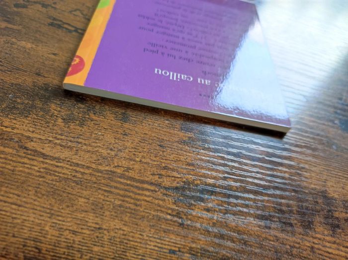 Livre de poche La soupe au caillou - photo numéro 5
