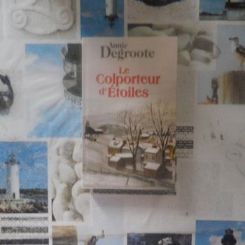 Le colporteur d'étoiles d'Annie Degroote