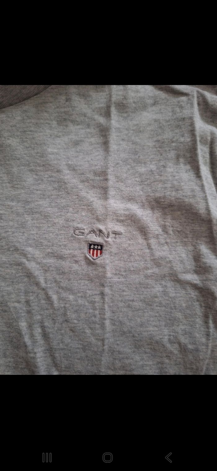 Tee shirt manches courtes homme gant - photo numéro 2