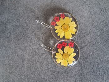 Boucle d oreille 