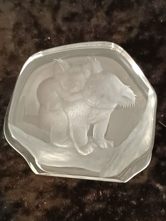 Koalas cristal - photo numéro 4