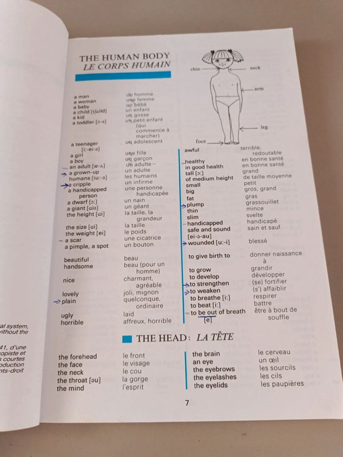 What you must now vocabulaire anglais-français - photo numéro 7