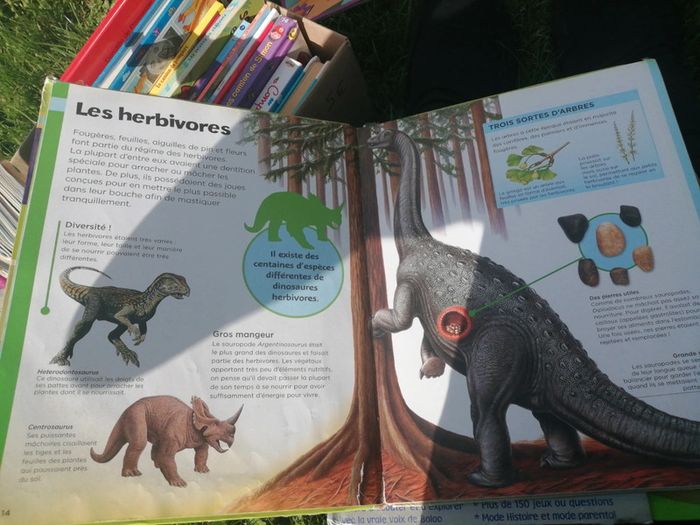 Ma 1ère encyclopédie des dinosaures - photo numéro 4