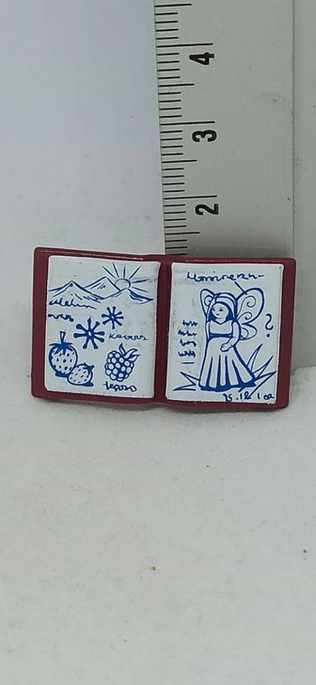 Livre de fée playmobil