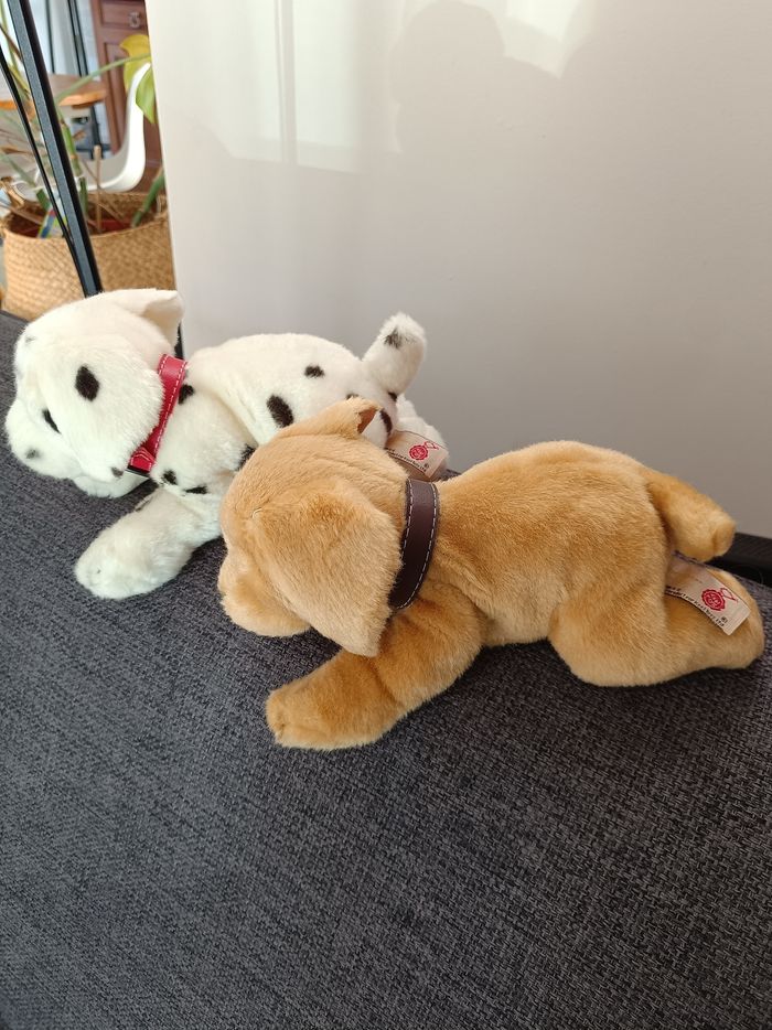 Lot de deux chiots - photo numéro 2