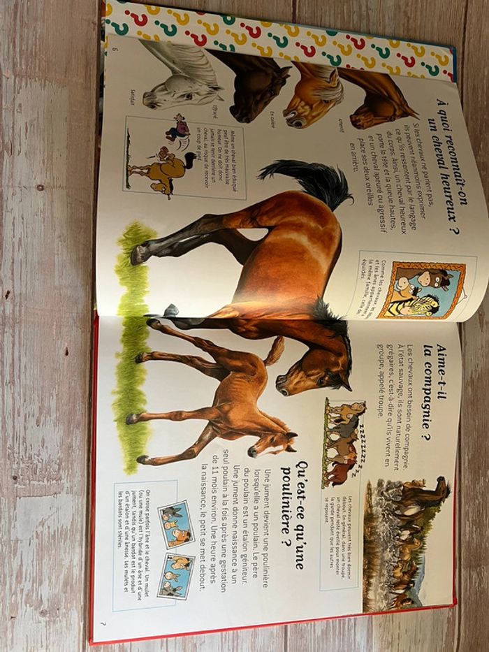 Livre questions réponses passion chevaux - photo numéro 3