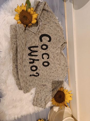 Pull mi saison beige brillant t38