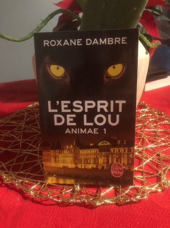 L’esprit de Lou - Animae 1 - Roxane Dambre