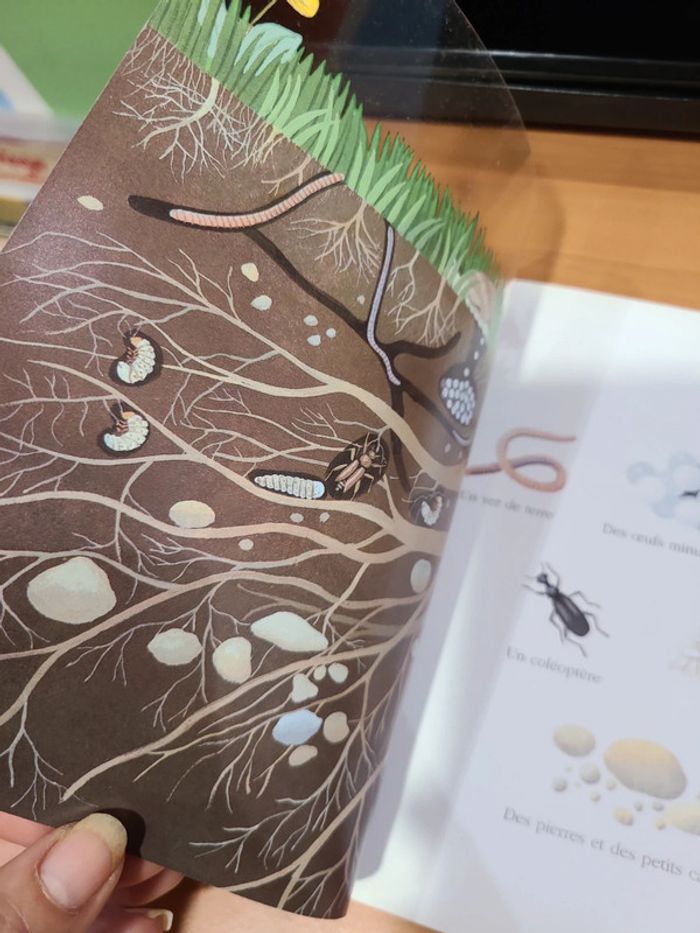 Cache cache le monde sous terre - photo numéro 10