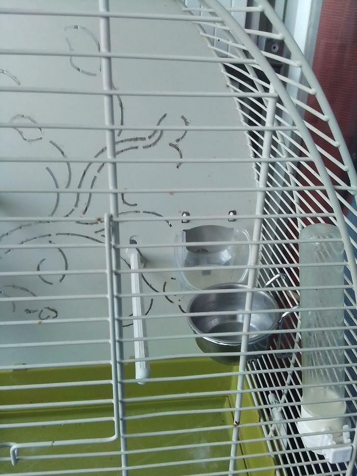 Cage à oiseaux ARABESQUE ZOLUX - photo numéro 4