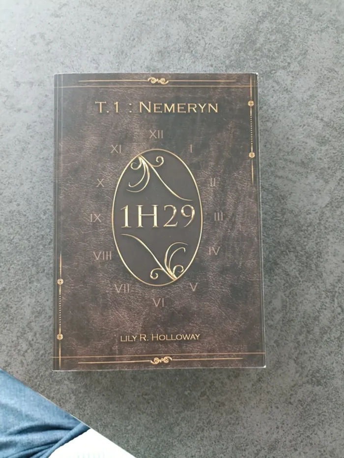 Nemeryn - photo numéro 2