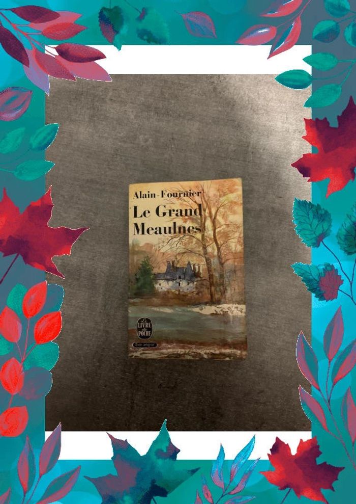 Livre le grand meaulnes