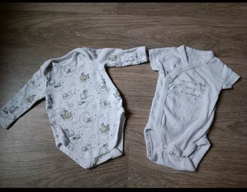 Lot 2 bodies mixte 1 mois