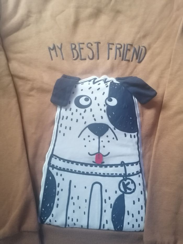 Pull sweat-shirt 🐶 mixte 12 ans - photo numéro 4