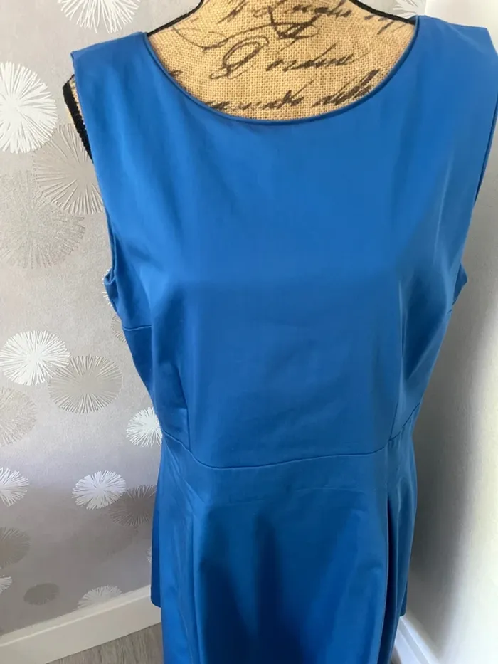Robe bleue - photo numéro 2