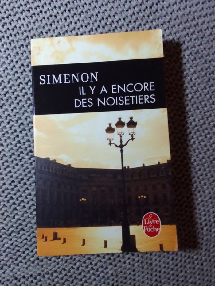 Simenon 🫧 Il y a encore des noiseries - photo numéro 1