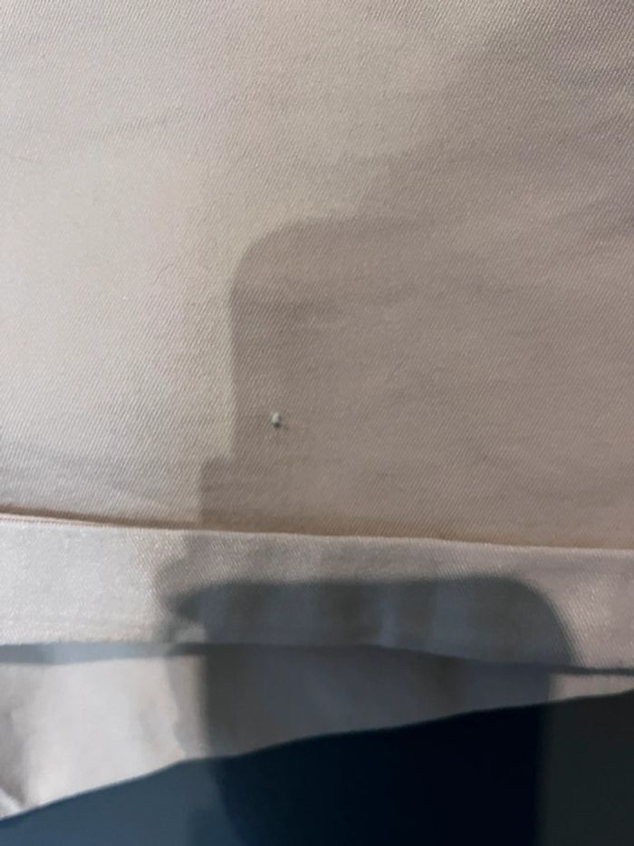 Short - photo numéro 2