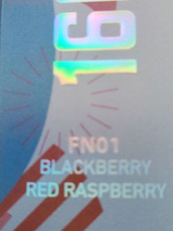 16k JNR Blackberry red raspberry 