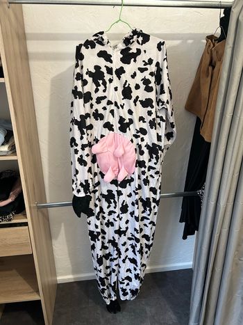 Déguisements carnaval