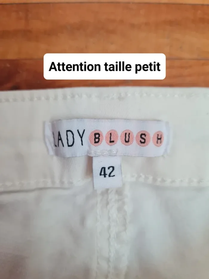 Pantalon femme taille basse Lady Blush T42 - photo numéro 9
