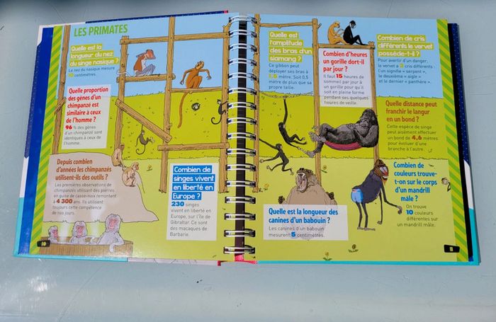 Livre Dis Combien il y a d'étoiles 🌠dans le ciel ?(31) - photo numéro 4