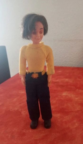 Steve Feliz Sunshine family mattel