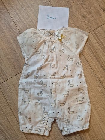 Grenouillère Orchestra