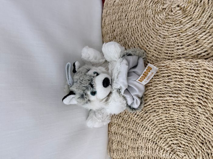 Peluche Doudou Marionnette Chien Husky rodadou - photo numéro 4