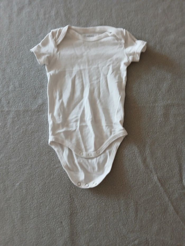 Lot bodies été 9 mois - photo numéro 3