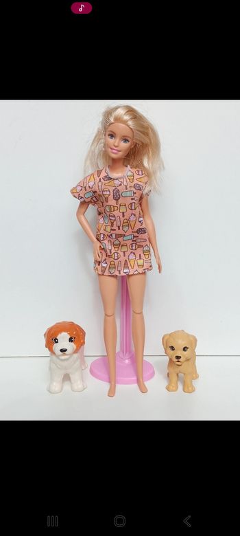 Poupée mattel barbie Doggy Daycare , Garderie pour chiens (FXH08)
Poupée et ensemble compris