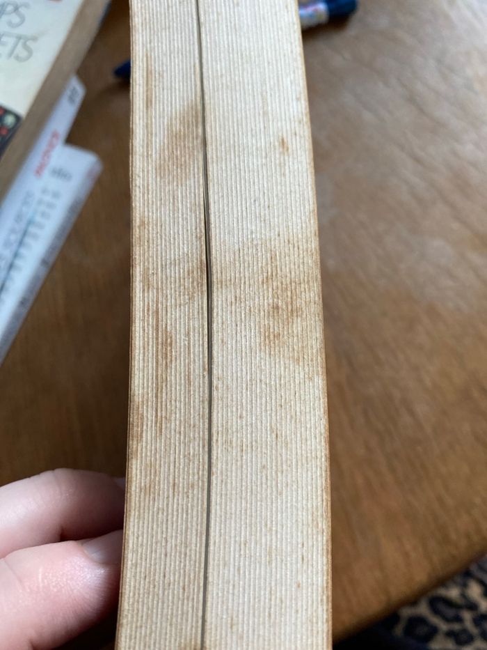 Livre Cent famillesx - photo numéro 5