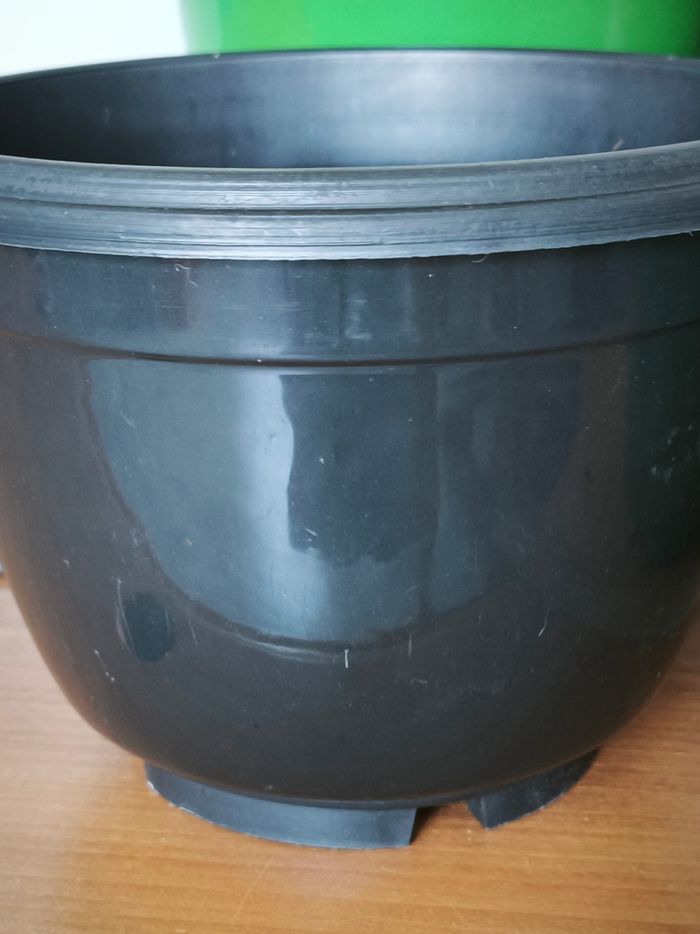 Pots de fleurs - photo numéro 3