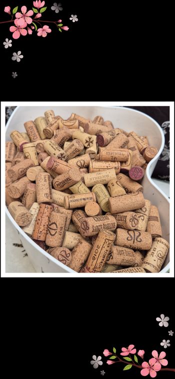 🍾 Bouchons de vin 🍾