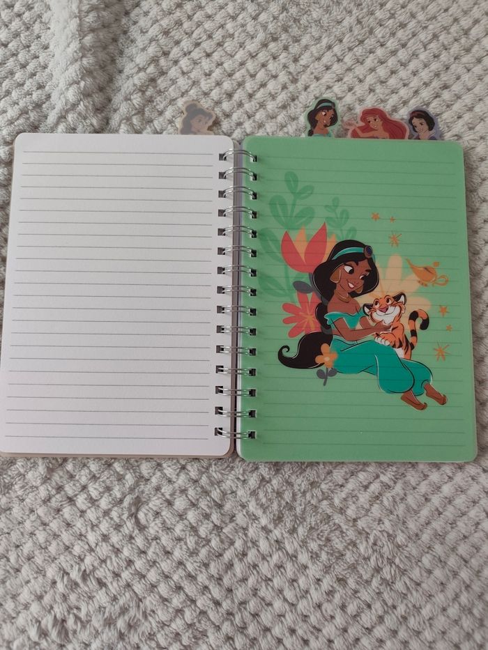 Carnet Princesse - photo numéro 3