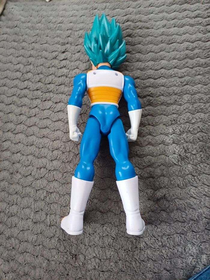 Vegeta - photo numéro 2