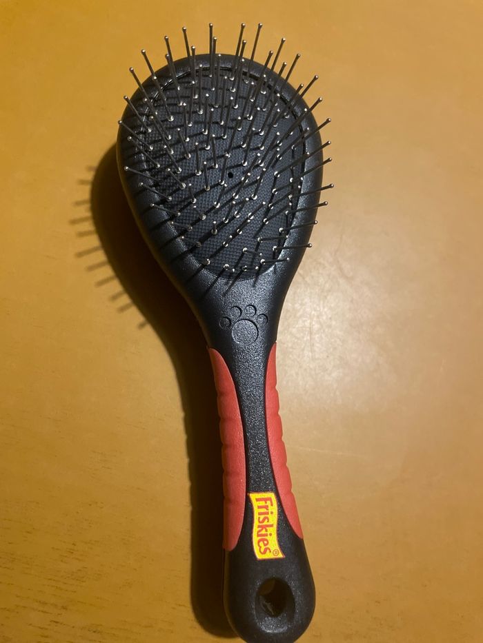 Brosse chien - photo numéro 2