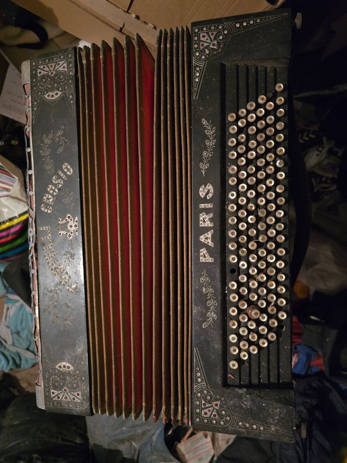 Accordéon - photo numéro 4