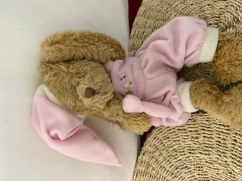 Ourse et son bébé Louise Mansen