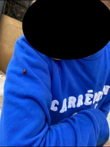 Pull Carrément Beau france 🇫🇷 10 ans