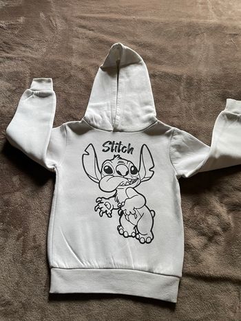 Sweat à capuche sticht