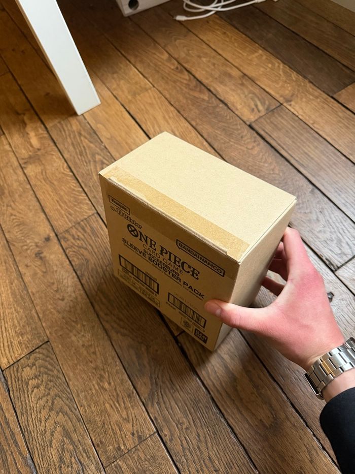 Case scellée de blisters one piece op13 - Successeurs - photo numéro 4