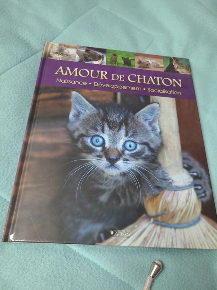 2 livres sur les chats - photo numéro 3