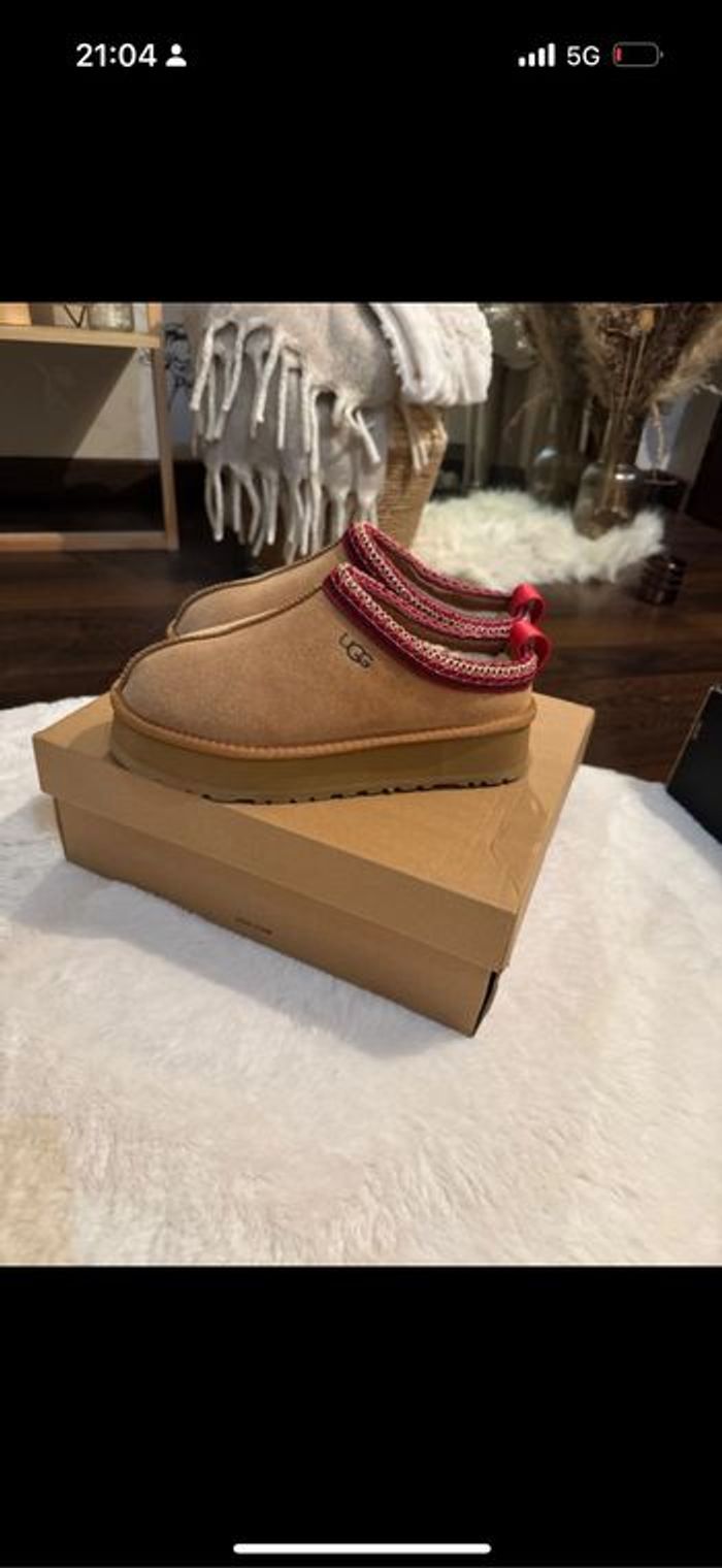 Tasman Ugg - photo numéro 4