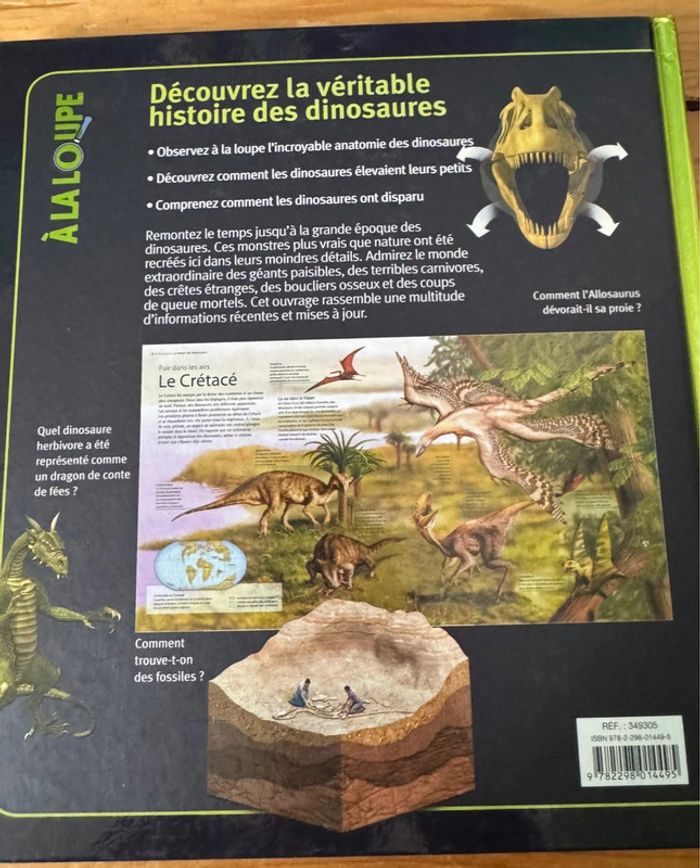 Lot livres sur les dinosaures 🦖 - photo numéro 7