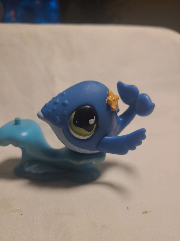 baleine petshop - photo numéro 2