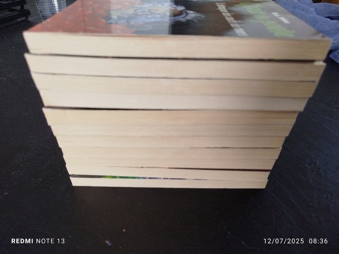 Lot 11 livres chair de poule - photo numéro 3