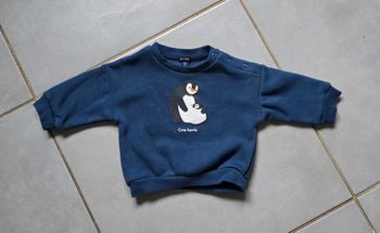Pull pingouin 
