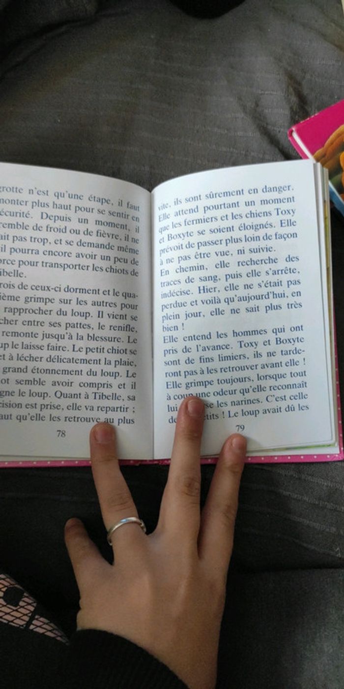 Livre tibelle et le loup - photo numéro 2